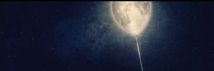 369Moha's profile banner image