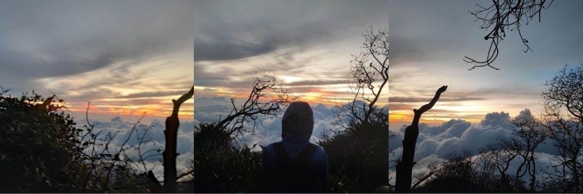 Rofifahsr's profile banner image