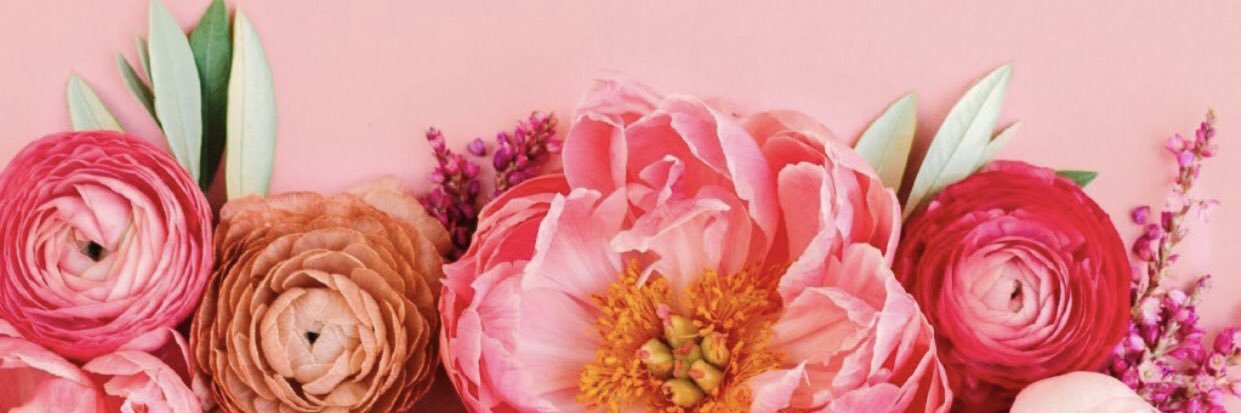 scotti_rose's profile banner image