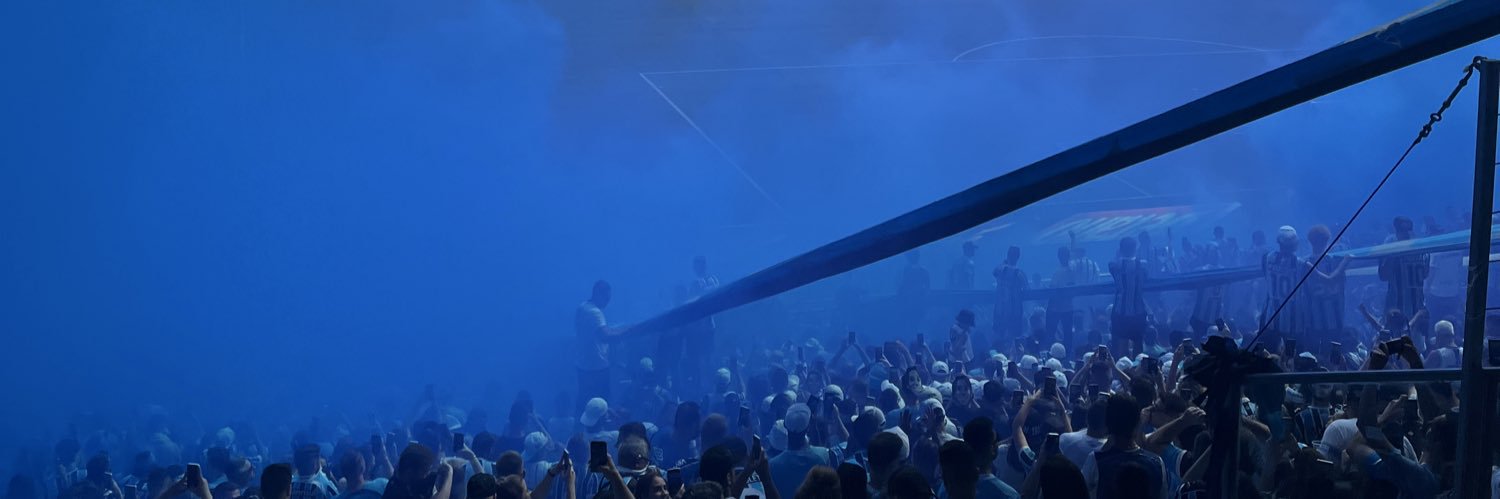 Catarini🇺🇦🇪🇪 banner