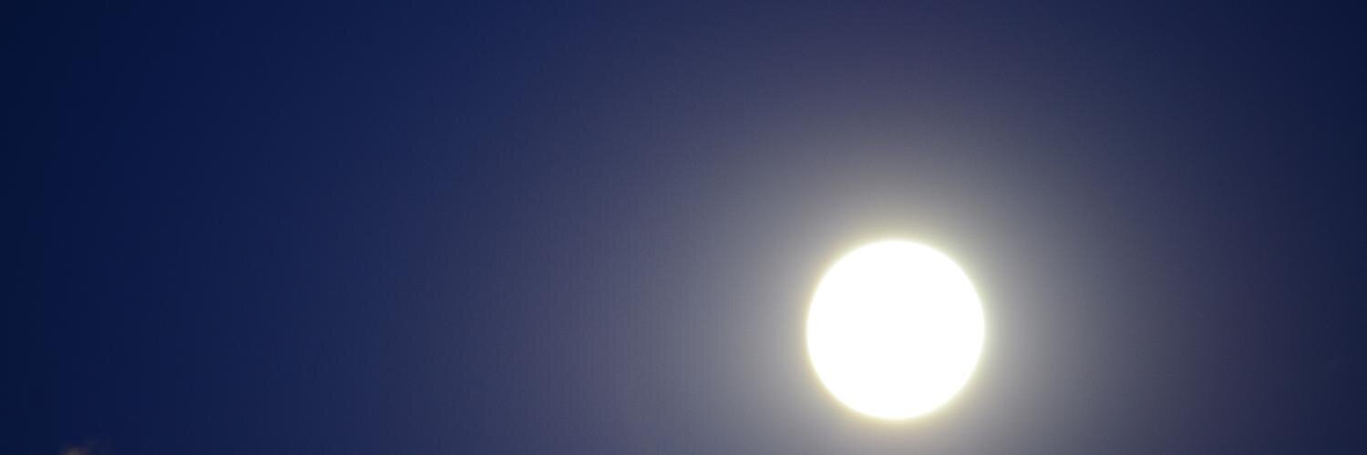 lcnbala's profile banner image