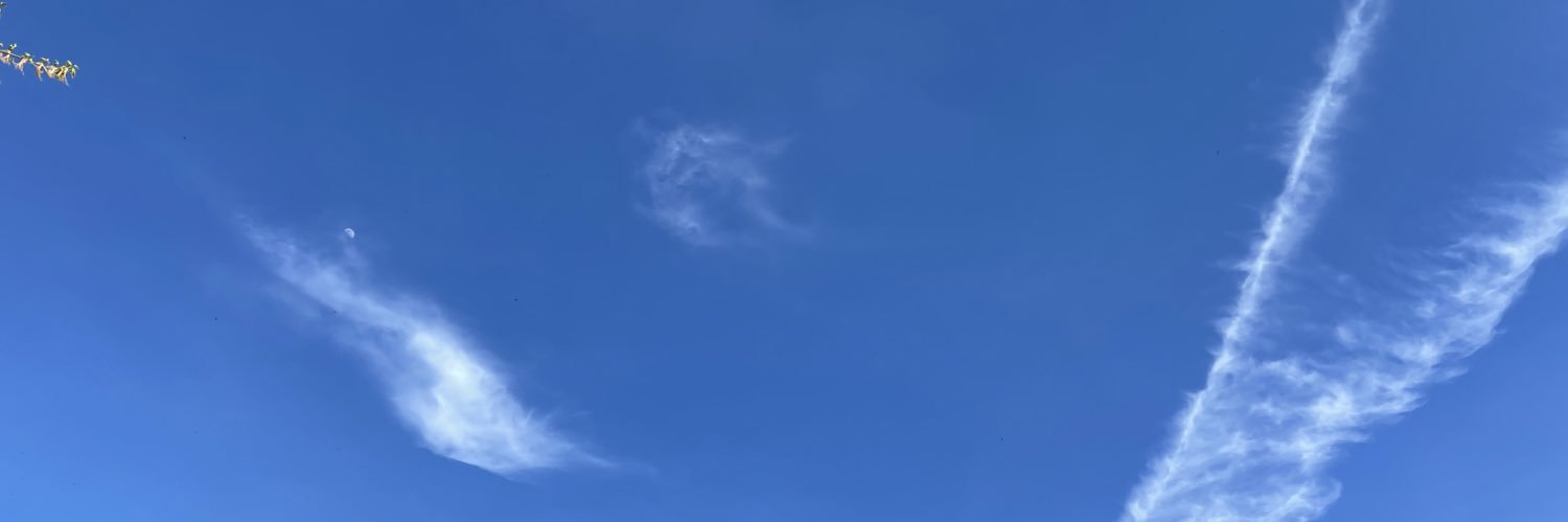 Max_nb banner
