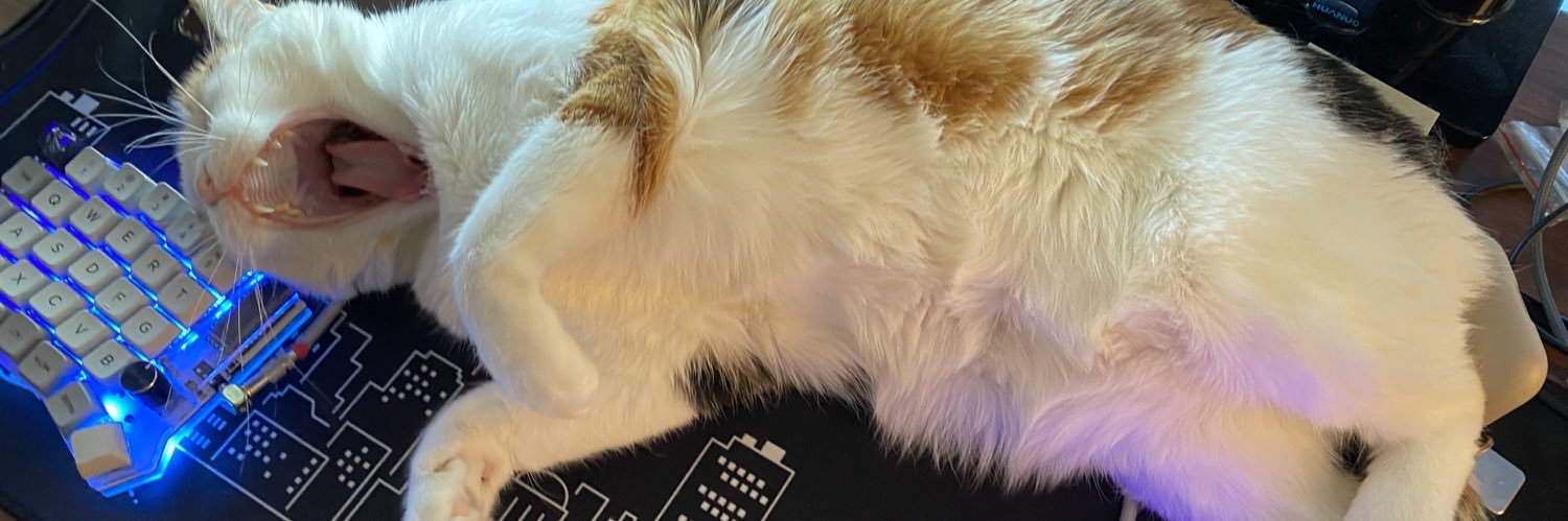 tofushou's profile banner image