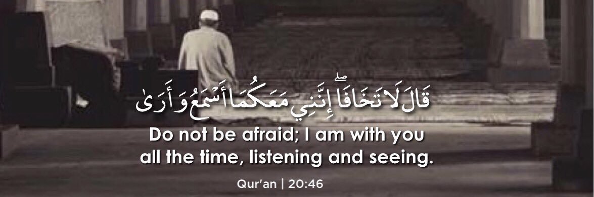 The C. 🇸🇳🦅 banner