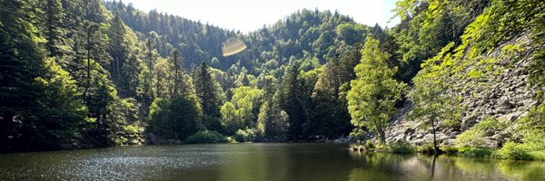 leaschnherr Profile Banner