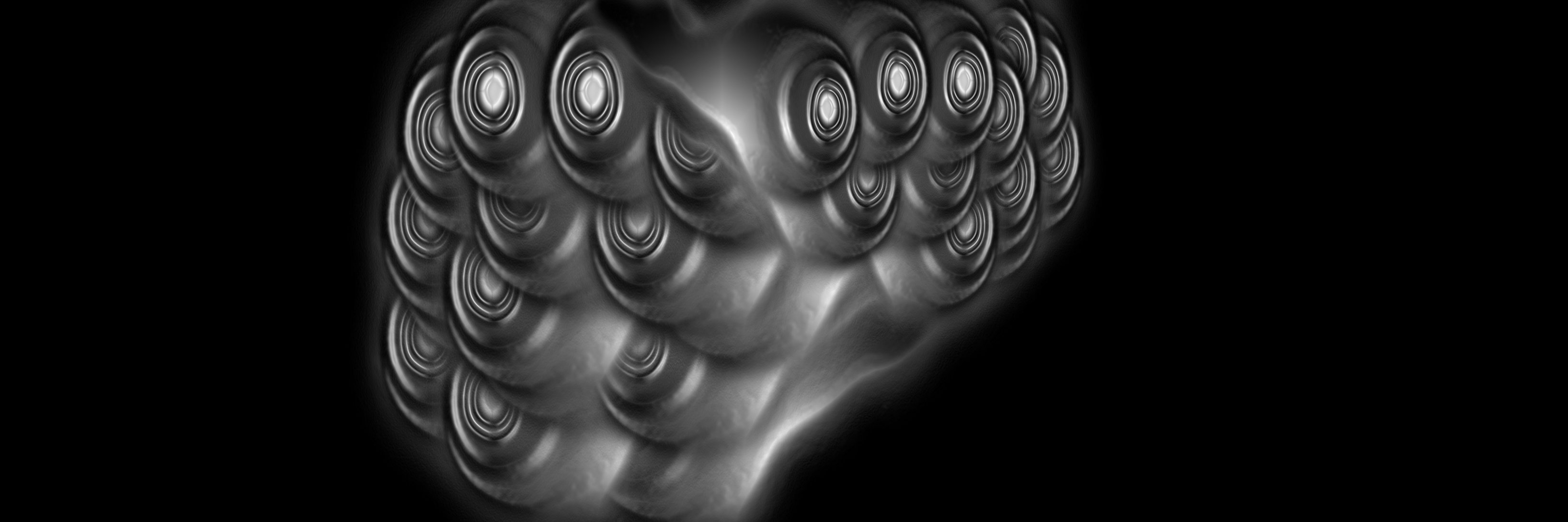 Plasmabell80's profile banner image