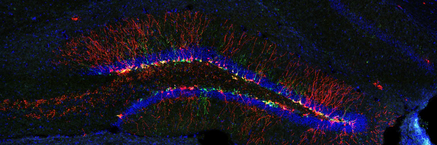 SebTuncdemirLab banner
