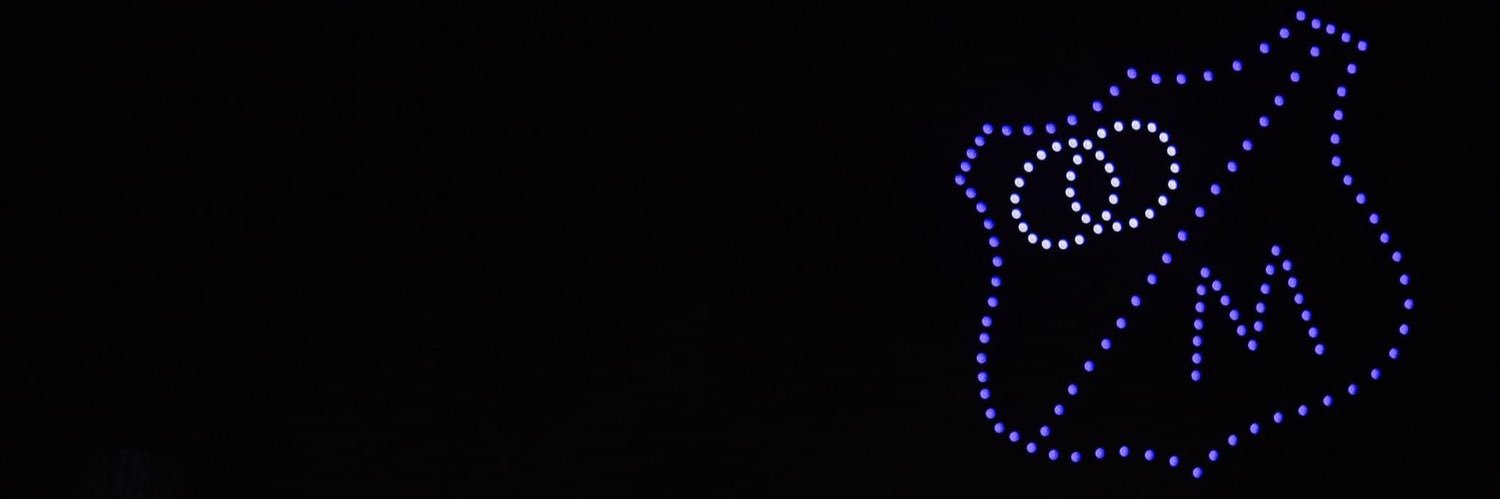 ana banner