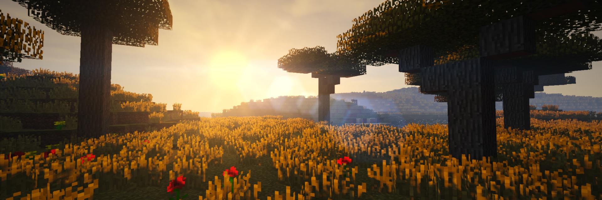 AnxiousOwl23's profile banner image