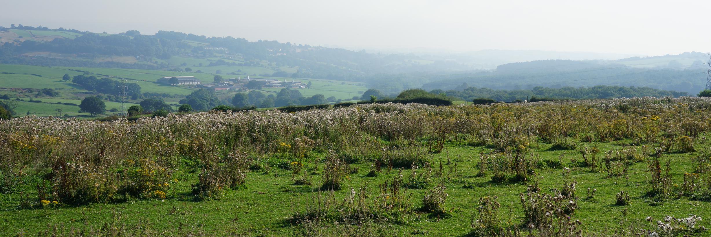 savetongvalley's profile banner image