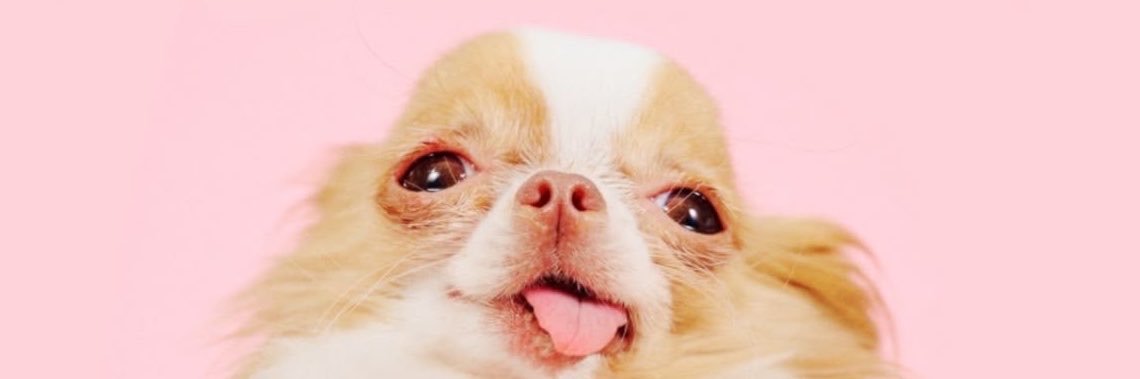 amjjkm's profile banner image