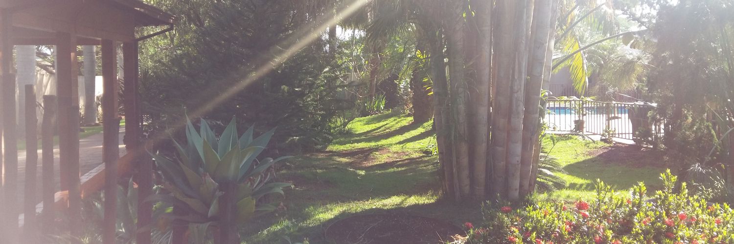 juliariede's profile banner image