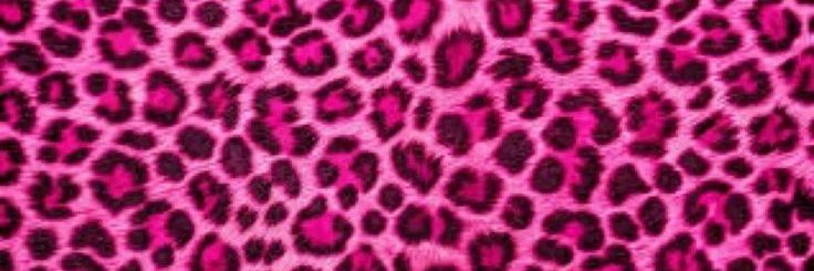 María Gabriela Segov banner