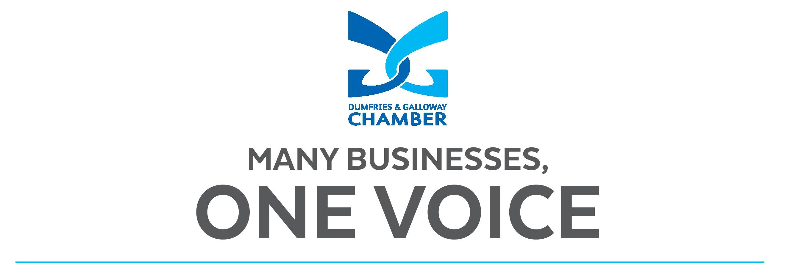 Dumfries & Galloway Chamber of Commerce banner
