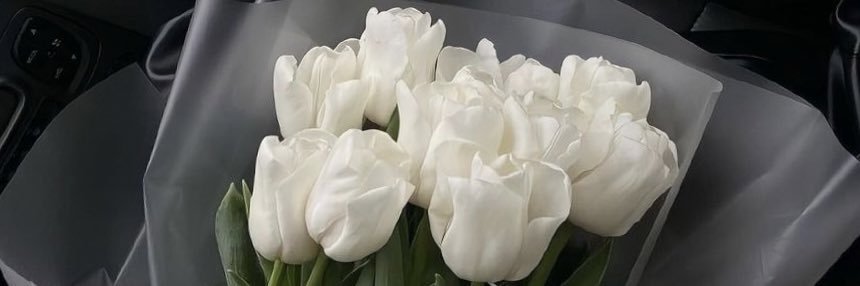 white roses 🥀 banner