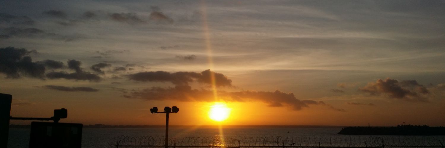 brandytren's profile banner image