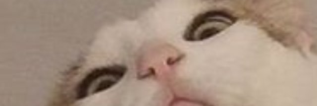 GermanGer_11's profile banner image