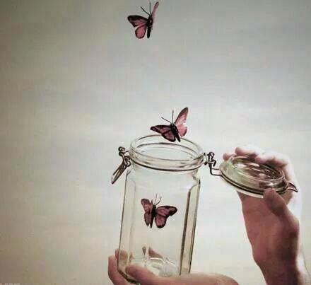 Shinta TEM'S (TBFOT) banner