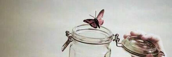 sinjul Profile Banner