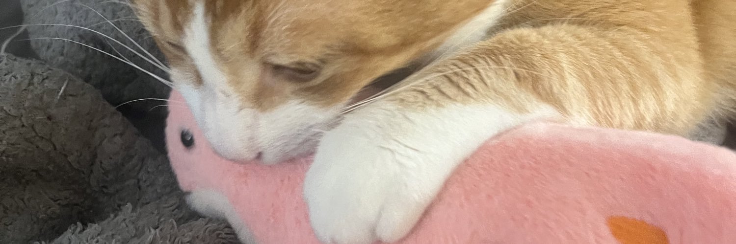 barbarayukii's profile banner image