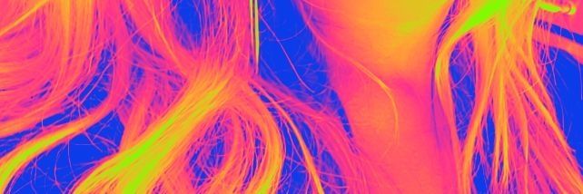 Brandy (Webb) Stout banner