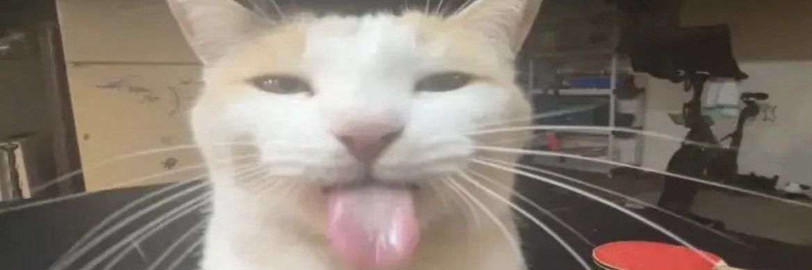 nutellmimi's profile banner image