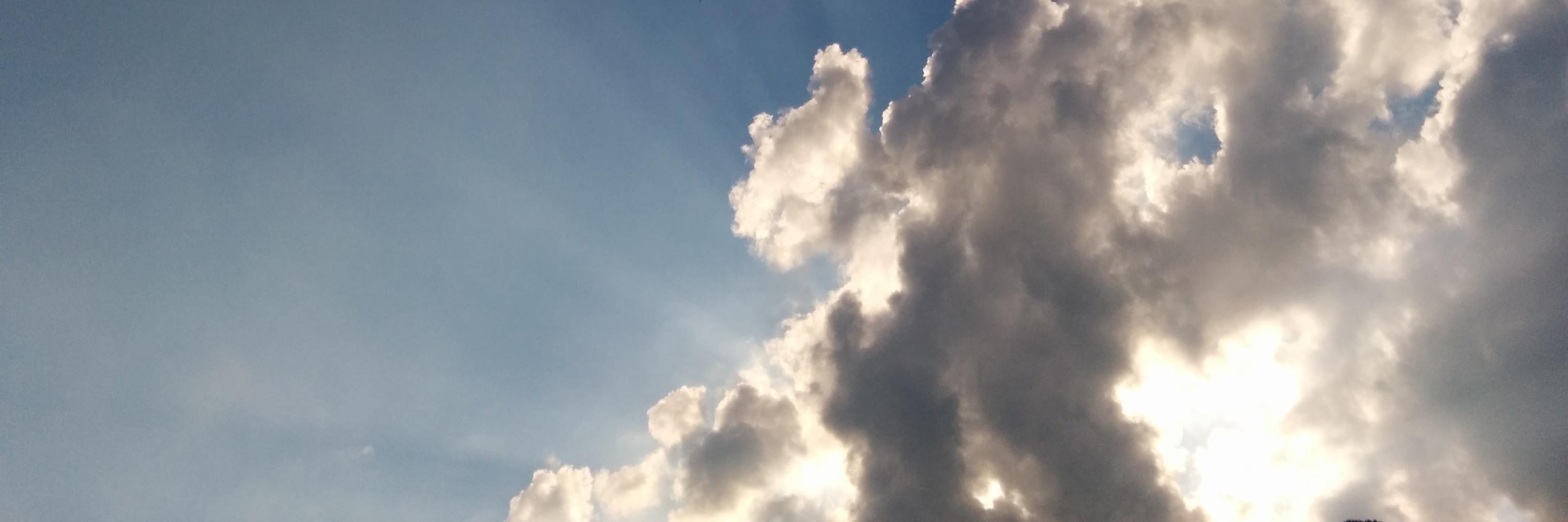 rettichschnidi's profile banner image