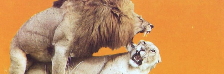 HEFL2309's profile banner image