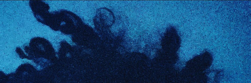 shiDMV's profile banner image