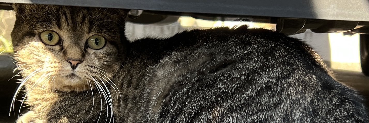 BEO_BEO_BEO_'s profile banner image