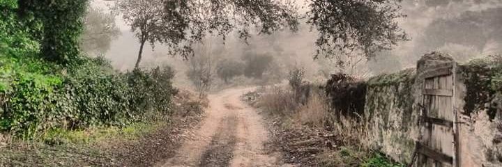JavierPinillaM's profile banner image