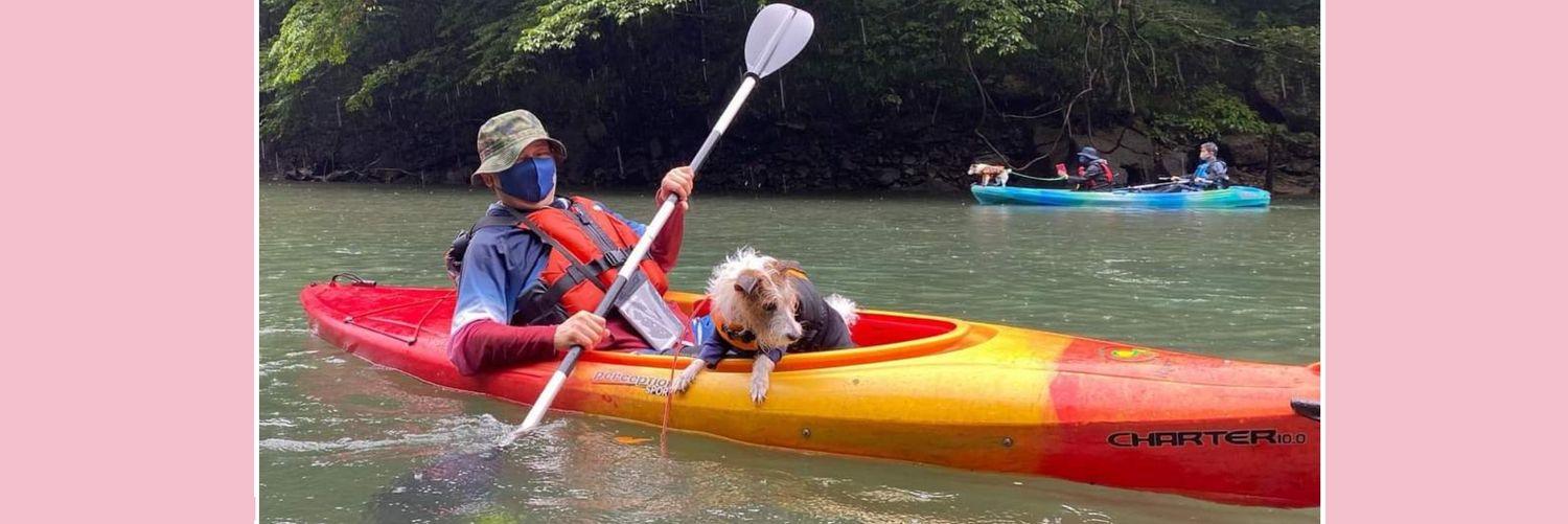 だわさ🌸ハマテンまでまったり🙄 banner