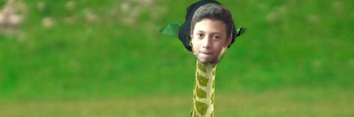 daniplayz2005's profile banner image