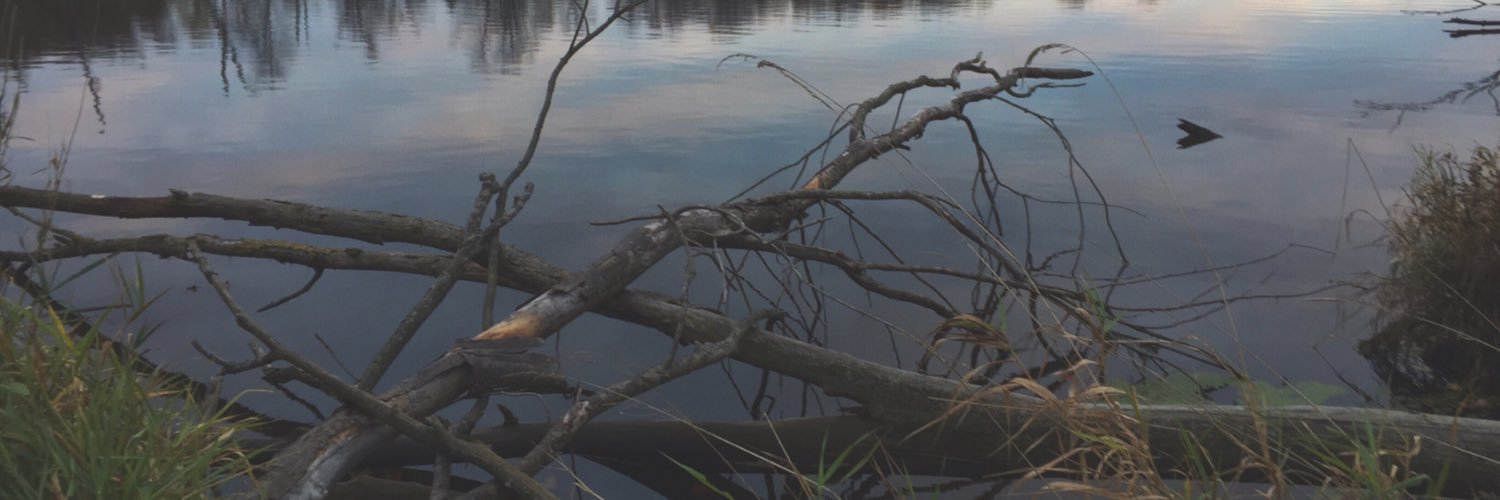 officiallytyler's profile banner image