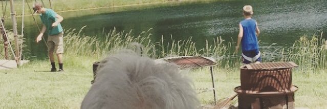harkdj97's profile banner image