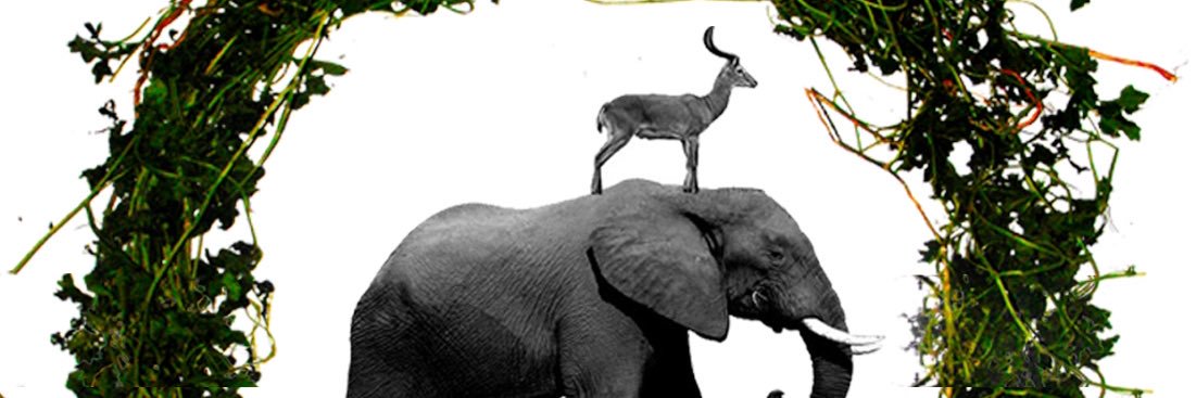 AmarexJay's profile banner image
