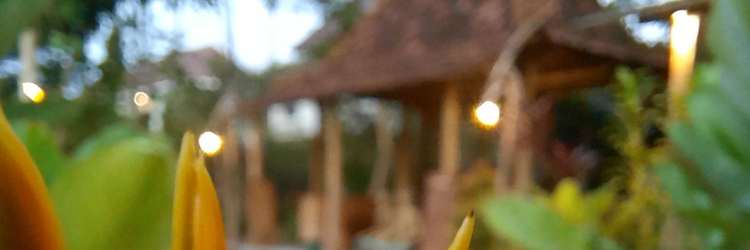 SaputraBerman's profile banner image
