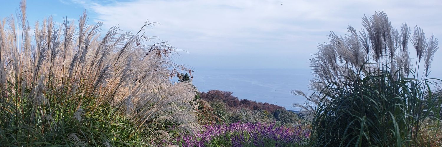 samuraikick0604's profile banner image