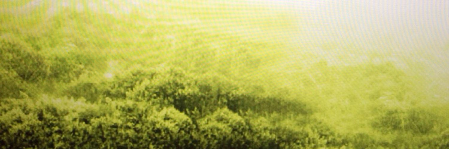 ka_roessler's profile banner image