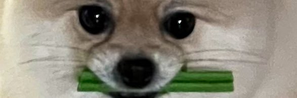 sleepcauselazy's profile banner image