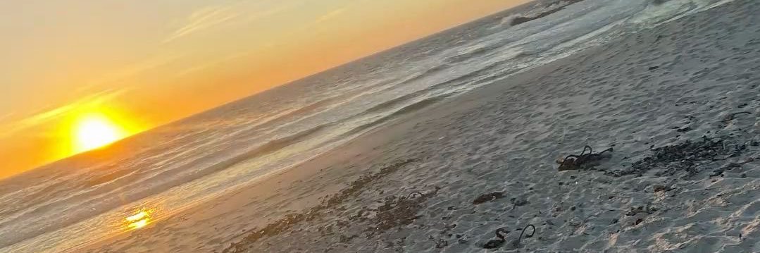 jasminearomo007's profile banner image