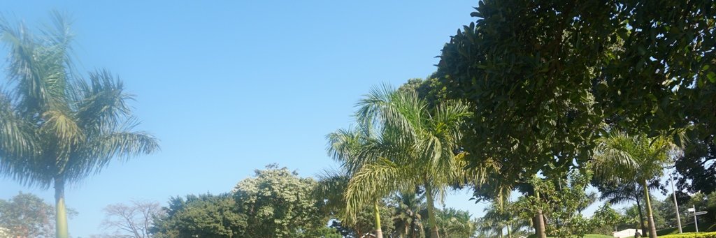 Barigye Namara banner