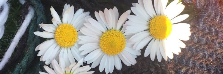l__endo's profile banner image