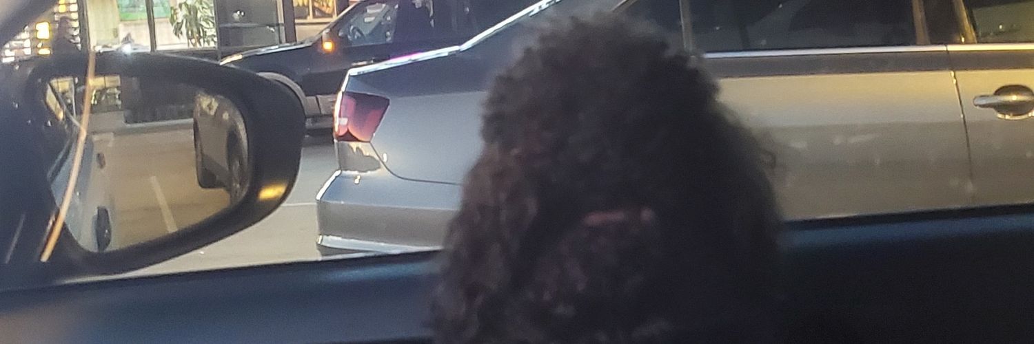 michaeldodwt's profile banner image