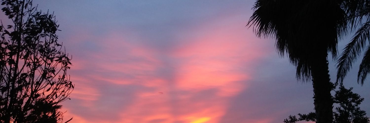 oguzvardar76's profile banner image