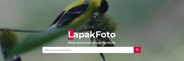 lapakfoto Profile Banner