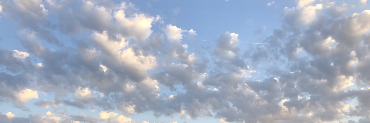 Lehapinheiro's profile banner image