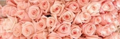 NaomiML92's profile banner image