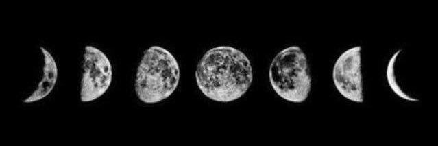 jennc137's profile banner image