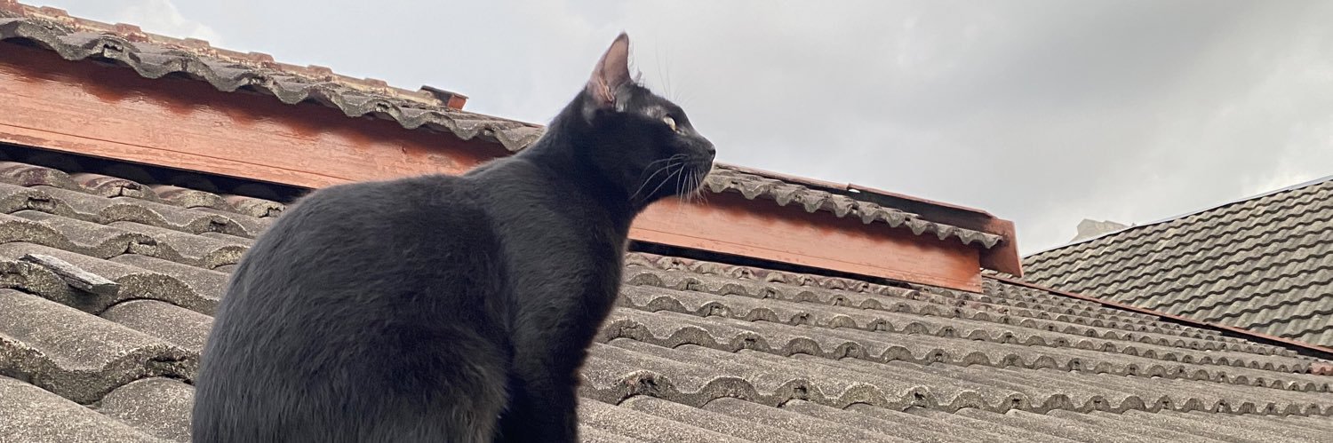 bokoslayer's profile banner image